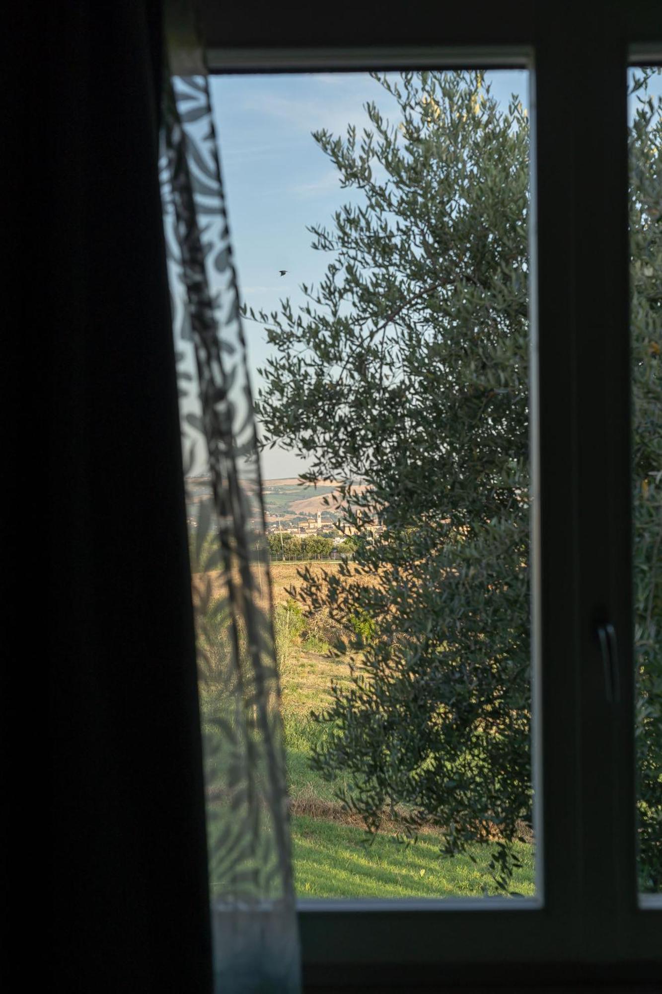 B&B La Figuretta Jesi Exterior foto