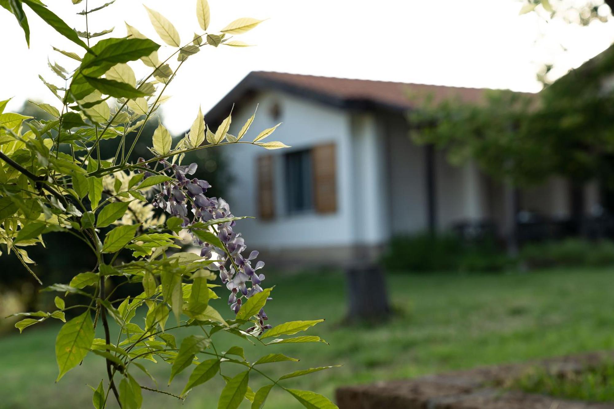 B&B La Figuretta Jesi Exterior foto