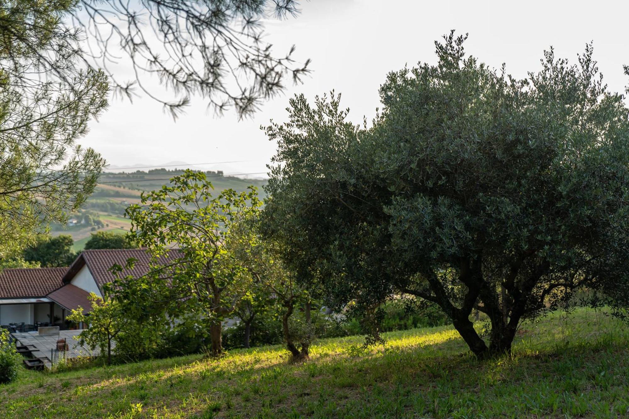 B&B La Figuretta Jesi Exterior foto